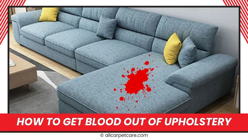 How To Get Blood Out Of Upholstery