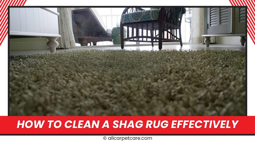 How To Clean A Shag Rug Effectively: The Complete Guide for Fluffy, Shaggy, and Deep Cleaning