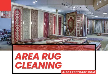 Area Rug Cleaning